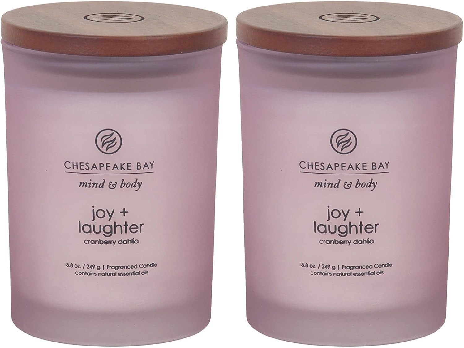 Chesapeake Bay Balance + Harmony Scented Candle Water Lily Pear Fragrance 50 Hours Burn Time Warm & Decorative Soy Wax Blend