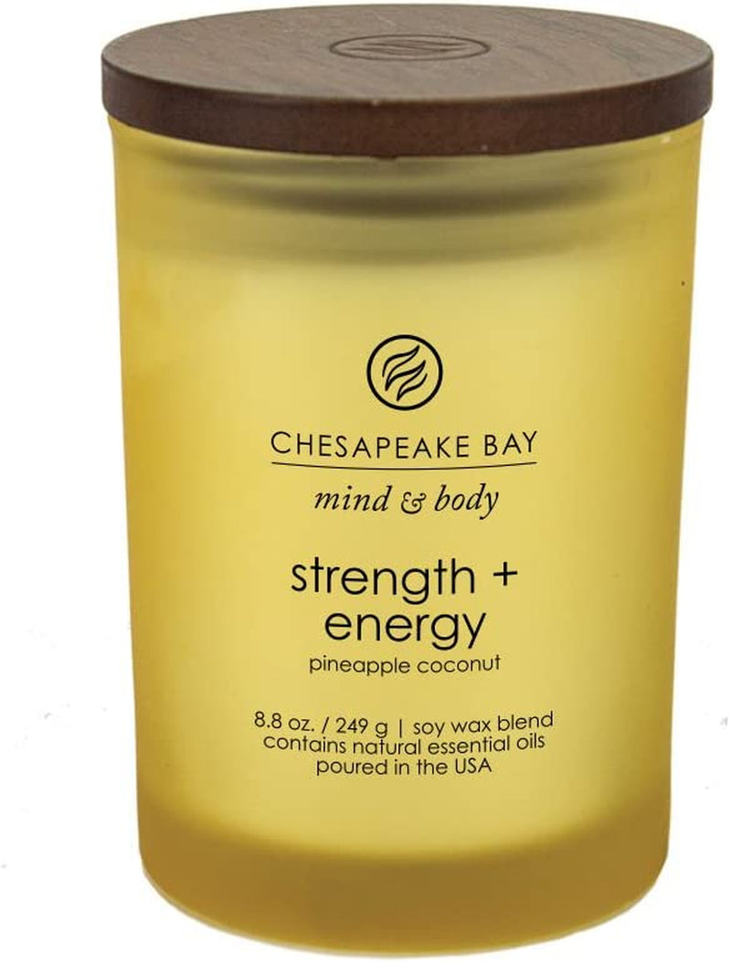 Chesapeake Bay Balance + Harmony Scented Candle Water Lily Pear Fragrance 50 Hours Burn Time Warm & Decorative Soy Wax Blend